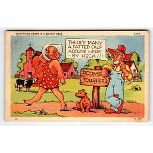 Vintage 1940s Linen Comic Postcard Farm Scene 'Many a Fatted Calf'